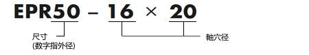 EPR直线轴型 型号表示举例