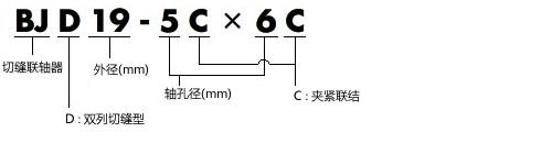 BJD型号表示举例